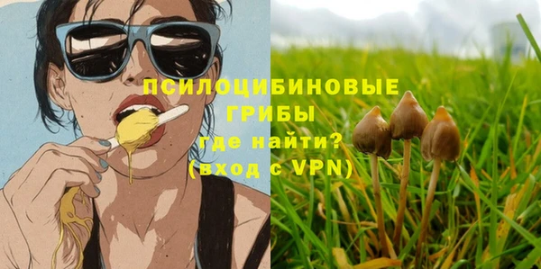 прущий лед Магас