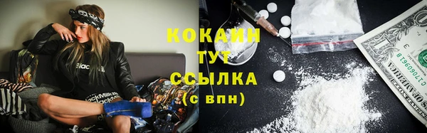 дмт Семёнов