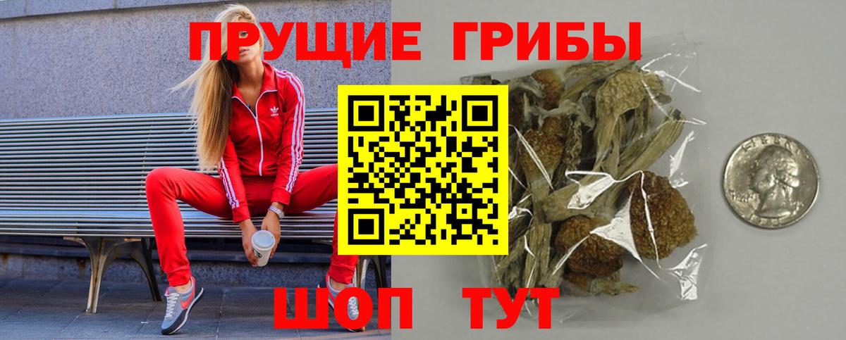 Псилоцибиновые грибы прущие грибы Юрга