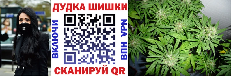 Конопля план Юрга